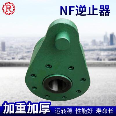 NF逆止器泰兴泰星泰隆非接触楔块式单向离合逆止器NFN型NFS型