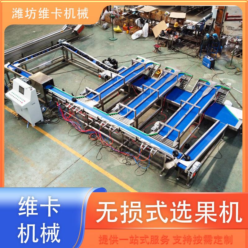 果蔬能分拣设备水果无损选果机甜视觉分拣机红外智线检测精瓜准