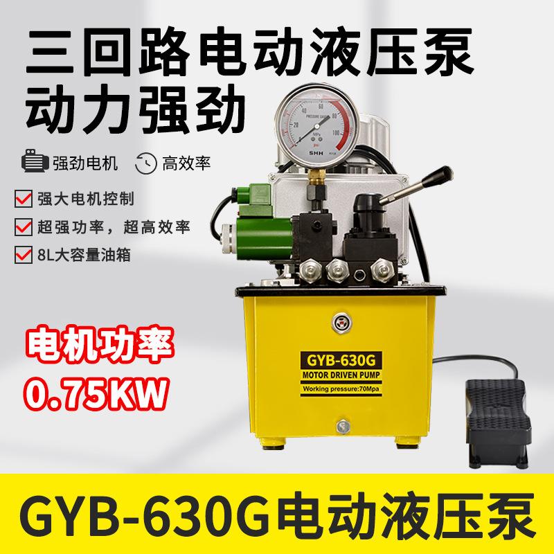 超高压电动泵液压机三回路电磁阀液压油泵带脚踏式控制