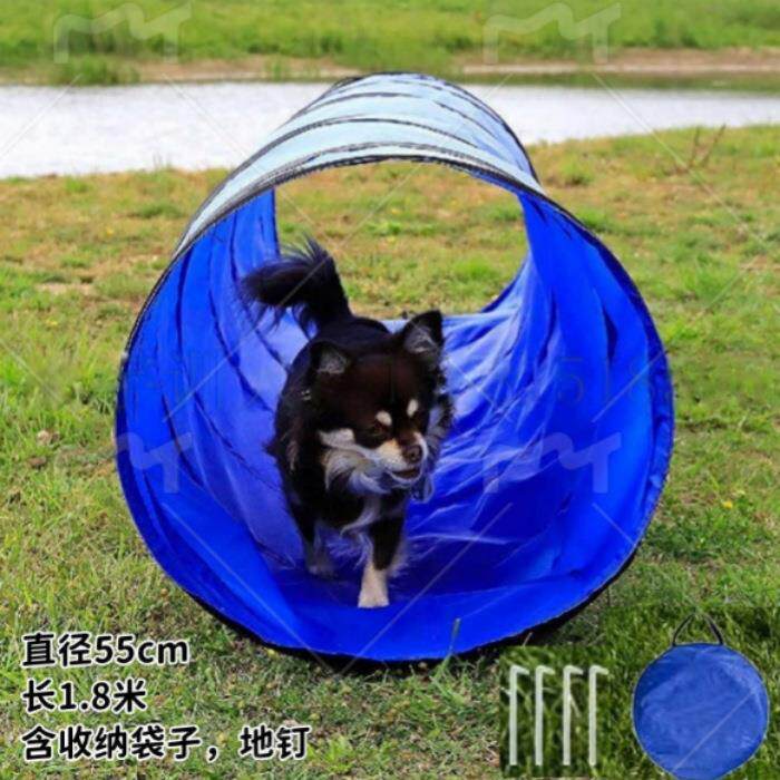 运动会器材室内户外宠物道具障碍狗器材猫训练训犬
