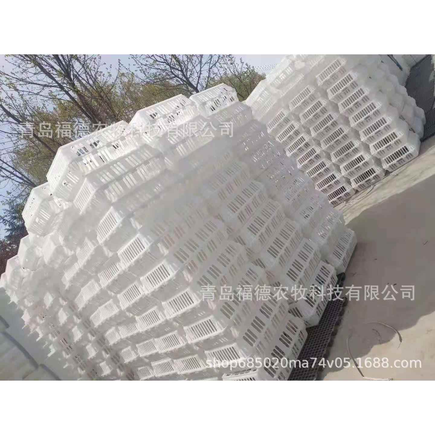 厂家 鸡筐 白色纯颗粒料鸡笼子青年鸡运输笼 工厂