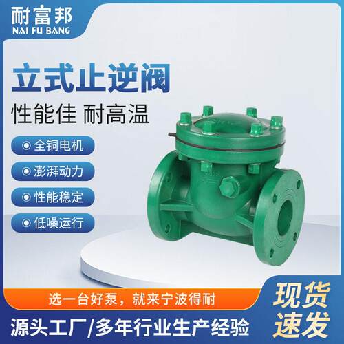 耐富邦FP/FV耐腐蚀止回阀旋启式卧式塑料止回阀化工立式止逆阀