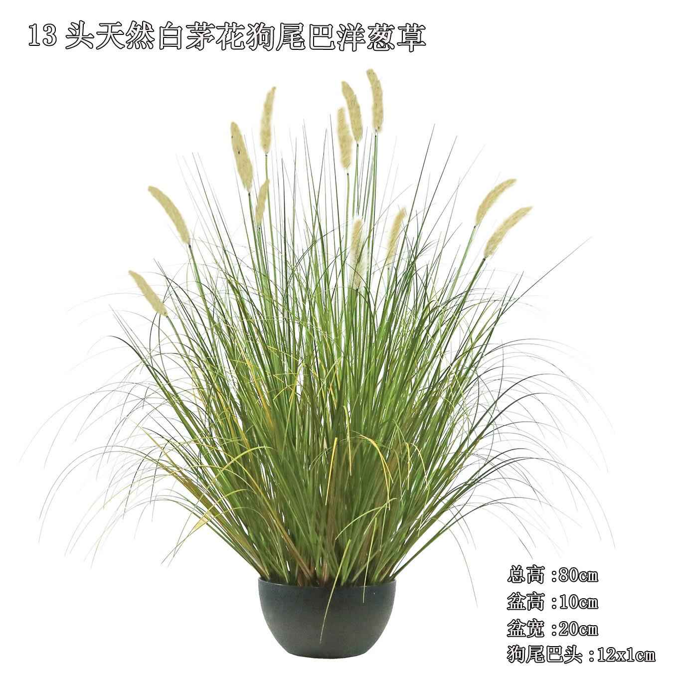 仿生毛毛虫草团狗尾巴草仿真绿植大盆栽高级感婚庆花材洋葱草自然