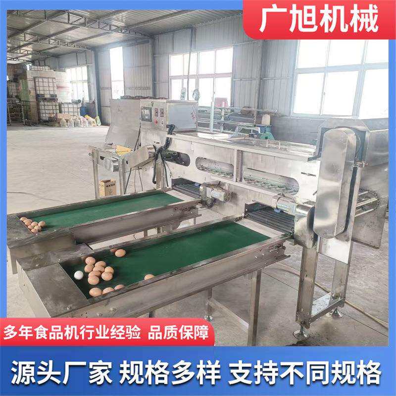 双排鸡蛋分级机皮蛋鸡鸭鹅蛋全自动分选设备全自动蛋品重量分级机
