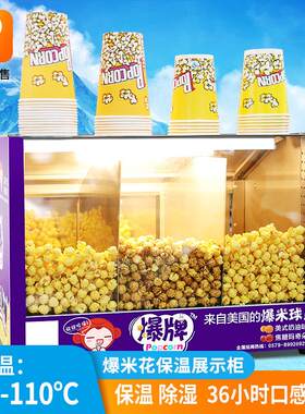 爆牌加热爆米花保温箱展示柜保鲜保脆保温机定制商用食品保温柜