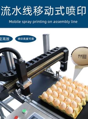 德码敏S200PLUS连喷ISS机全自动期续式小字符鸡蛋打标机鸡蛋日打