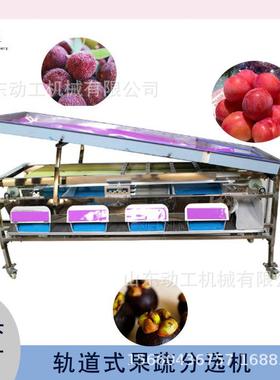 商用百香果分级选机轨道式鸭多级分机QEX梨 山楂姑娘果 分选机
