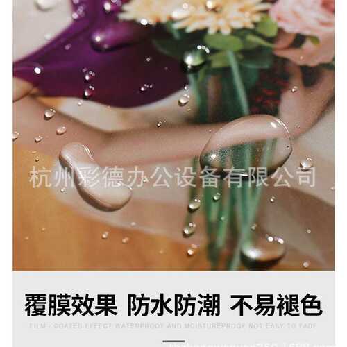 万德FM-360 冷热覆膜机 单双面裱膜机 彩页照片塑封机过塑机