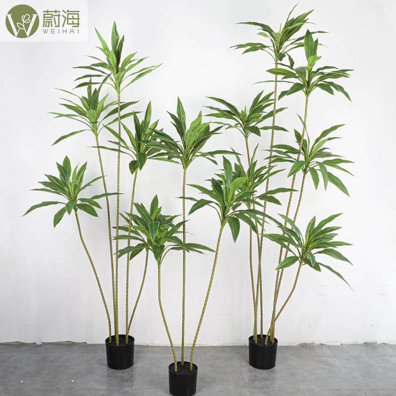 北欧风真朱蕉绿植装饰室内客厅落地盆栽摆件仿生植物朱蕉