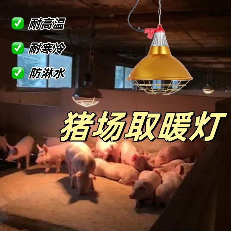 猪场取暖灯泡 猪用保暖烤灯兽用灯罩加热控温养殖育雏牛羊圈厂家