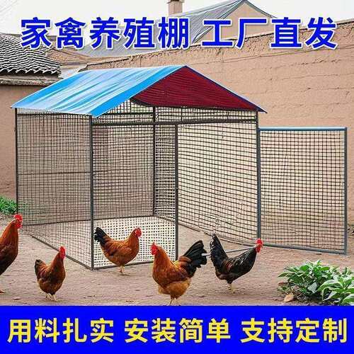 鸡棚鸡笼特大号家禽养殖兔笼防雨孔雀搭建鸽笼特大号大型家用鸡舍