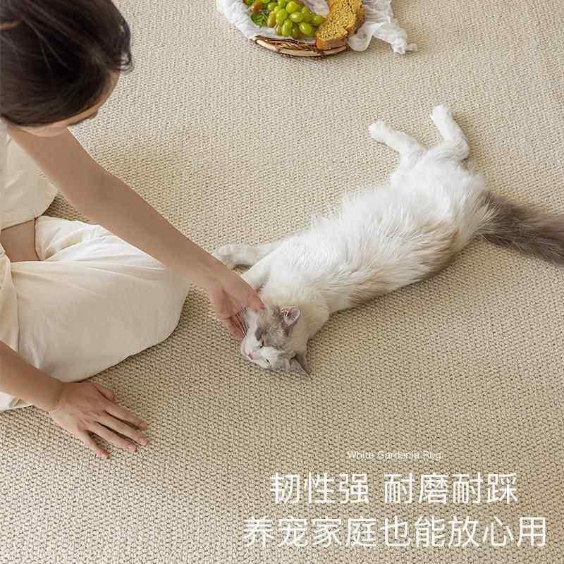 奶油20240917风纯抓色卧室剑床边地毯仿麻防拍猫摄影棚照隔音加厚