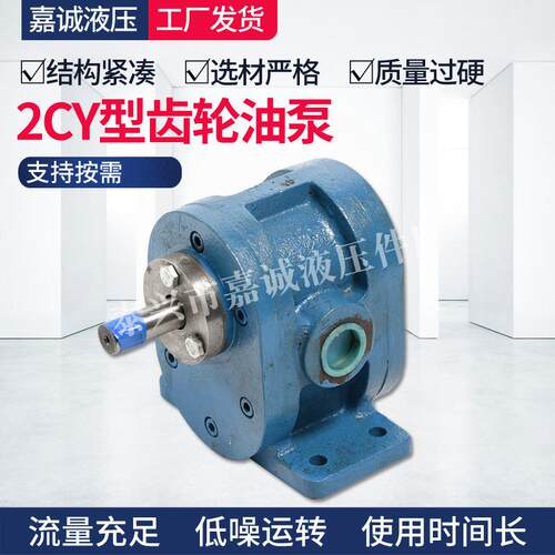 2CY型齿轮油泵齿轮油泵液压润滑转子泵电机配件