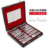 正品 德簧国进口音天鹅十1孔布鲁斯口琴0孔7调蓝调布1鲁斯2调套装