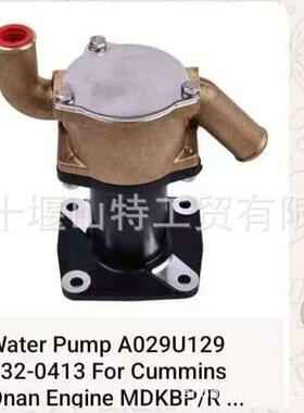 船机 游艇柴油发动机配件 海水泵 G1010 A029U129 奥南海水泵