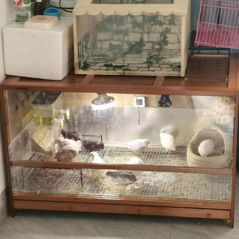 抽屉饲养箱鹦鹉芦丁鸡鸟笼温控保温育雏箱宠物仓鼠守宫蜥蜴刺猬箱
