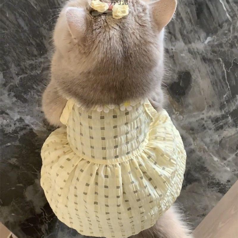 猫咪夏天衣服小裙子防毛可爱金渐层布偶猫英短夏季吊带裙子供应链