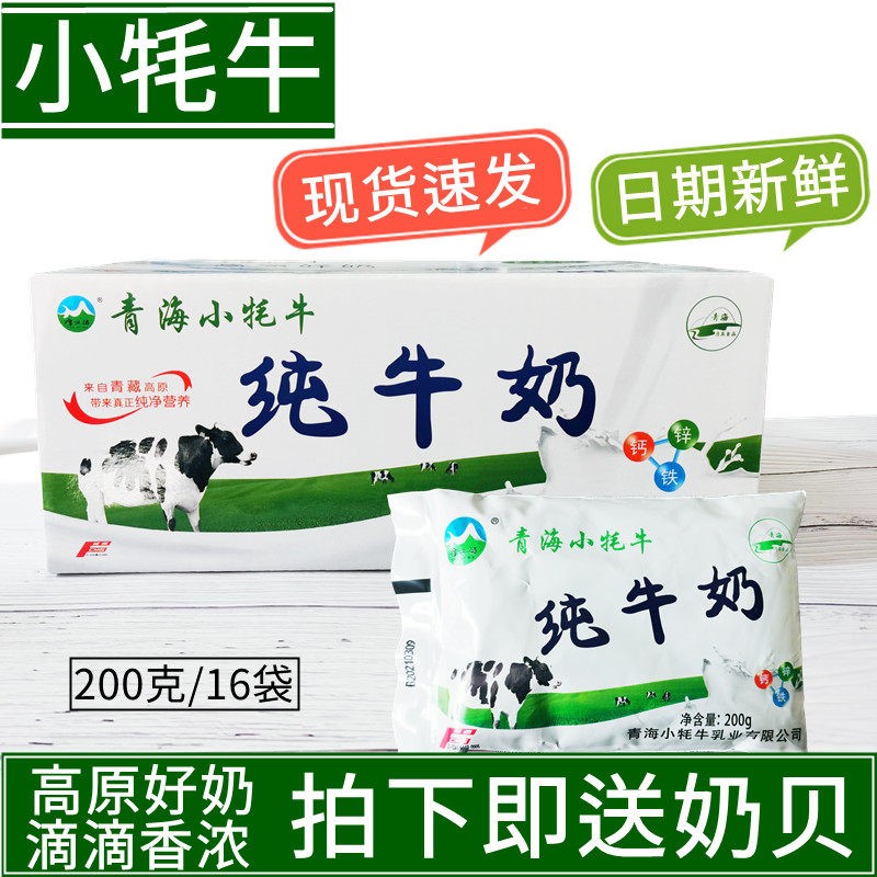 小牦牛纯牛奶全脂早餐儿童奶青海网红牛奶特产牛奶 200g*16袋包邮