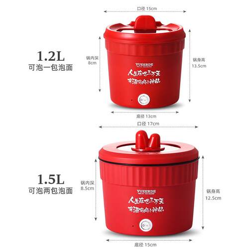 粤尔德直供110V爆款小电锅跨境现货蒸煮一体小型电锅多功能电煮锅