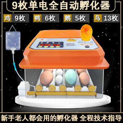 小型箱孵化床智能小器家鸡鸭全自动鸭孵蛋孵化机宠物鹅水孵化器
