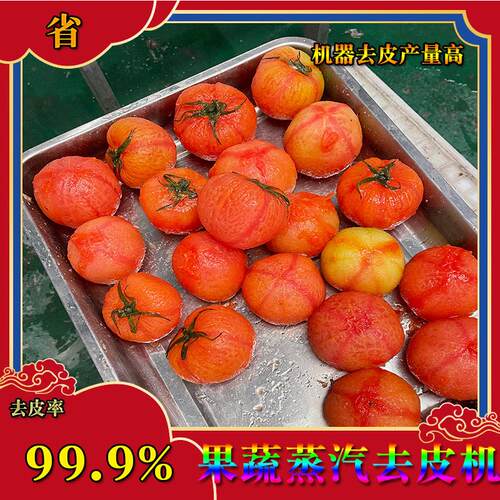 番茄蒸汽去皮设备全封闭卫生自动清洗符合食品标准厂家直供