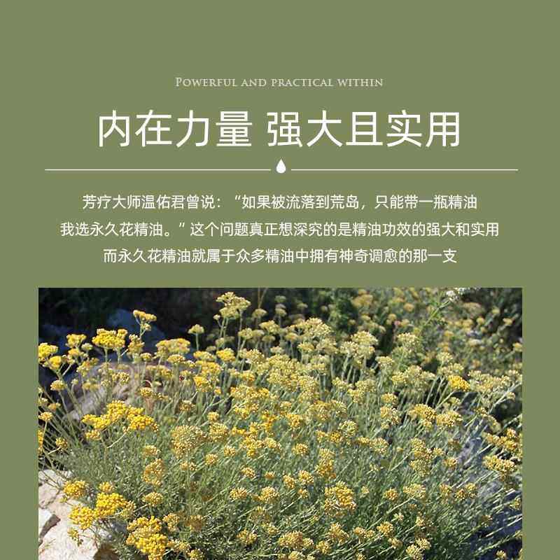 高档荨科西嘉岛永久花精尔油5ML紧淡纹黑眼圈面部按致摩护肤蜡菊图片
