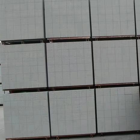 州水市加气块蒸WJX压直砖泥砖红砖零售厂家销量广大从优欢迎订送