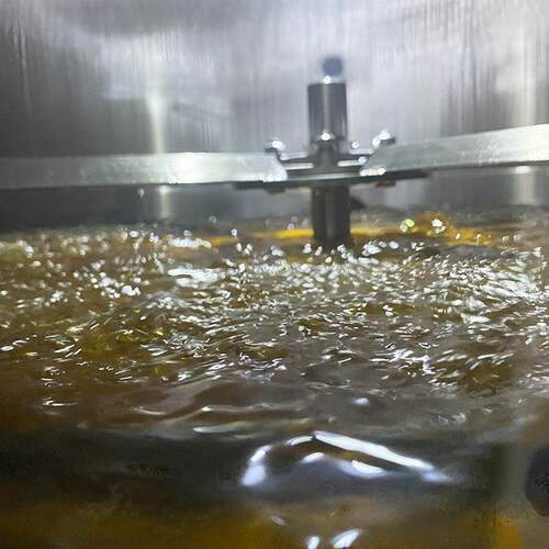 商用小型真空低温油炸机笋条果蔬肉油炸机菠萝蜜香蕉脆油炸机器