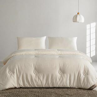 高端被芯！李官奇_A类60支全棉55大豆蛋白被芯春秋被加厚子母冬被