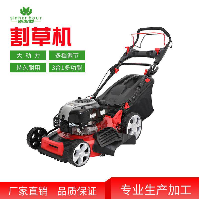 百利通20寸高配自走式剪草机小型家用草坪割草机农用汽油打草机