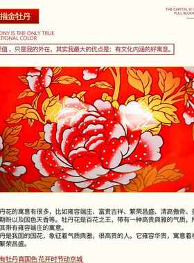 景德镇陶瓷器中国红色花瓶插花器家居客厅小瓷瓶摆件结婚装饰品h1