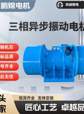 TZD/TZDC41-6C通用性振动电机放矿机专用6极1.5KW震动马达质保