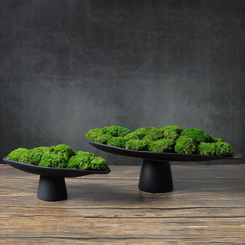 现代中式极简永生青苔藓植物盆景样板房客厅书房桌面摆件花艺盆栽