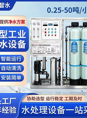 工业RO反渗透净水设备井水除杂质去离子自动运行大流量前置过滤器