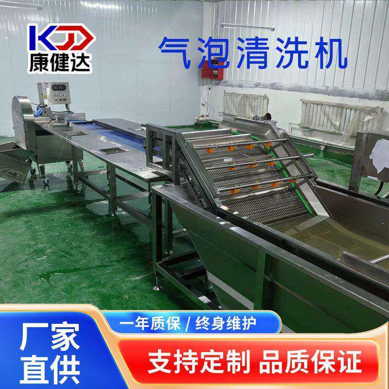 蔬菜清洗机苦菜清洗制造线山野菜鼓泡式果蔬清洗去杂机