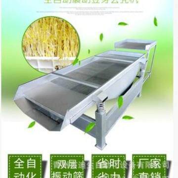 豆芽去壳机 全自动振动筛 豆芽去壳设备 不锈钢振动筛