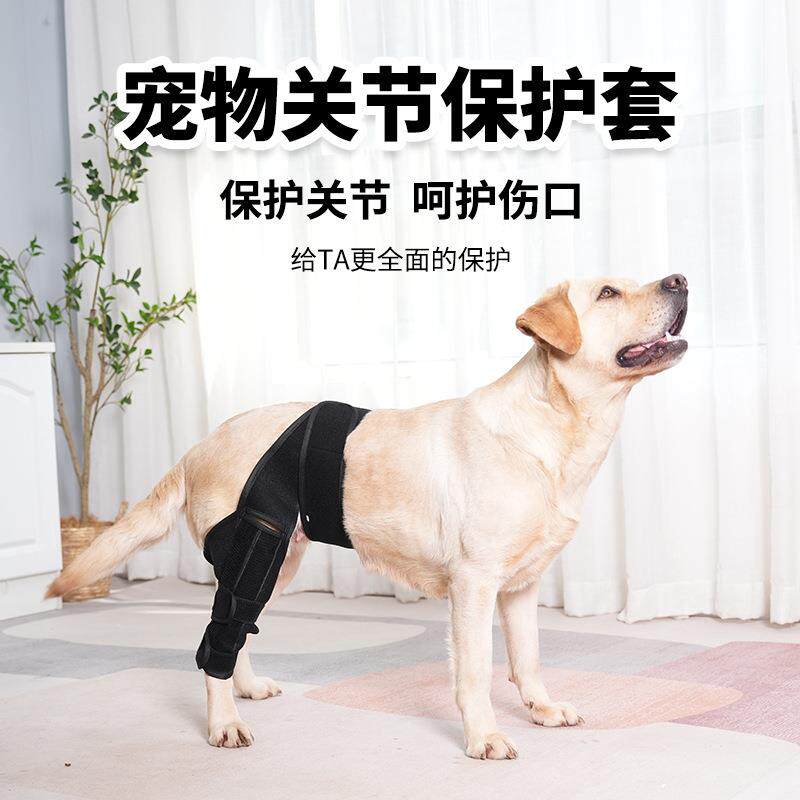 宠物护腿关节护具韧带撕裂受伤保护康复带关节脱位护具宠物狗护膝