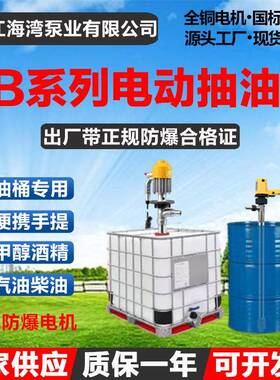 SB-3-1不锈钢防爆插桶泵SB-4隔爆型EX电动抽液泵手提式油桶抽油泵