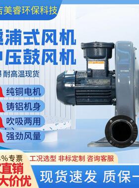 气体粉尘煤安防爆BT4CT421区透浦式离心蜗壳中压鼓风机送风除尘