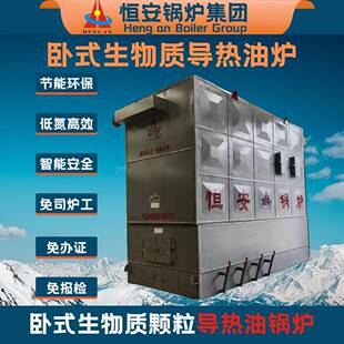 YLW卧式链条燃生物质导热油炉240万大卡00万大卡生物质导热油炉