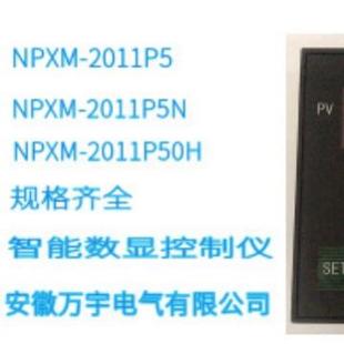 PWR 2011P50H智能数显控制仪数字显示仪规格型号齐全 NPXM