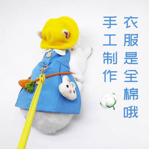 亚马055逊服款宠物兔衣兔兔猫新咪牵引绳服饰游拍照宠物日出韩风