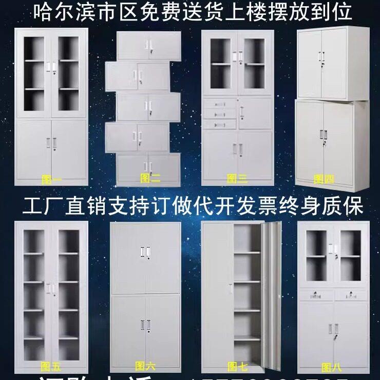 哈尔滨钢制a4办公文件柜带锁资料档案柜铁皮柜铁卷柜凭证柜更衣柜