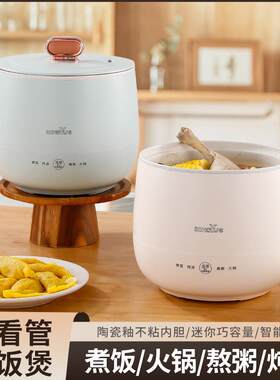 新款直销迷你电饭锅1.8升家用 1-3人食用 多功能煮饭炖汤煮粥火锅