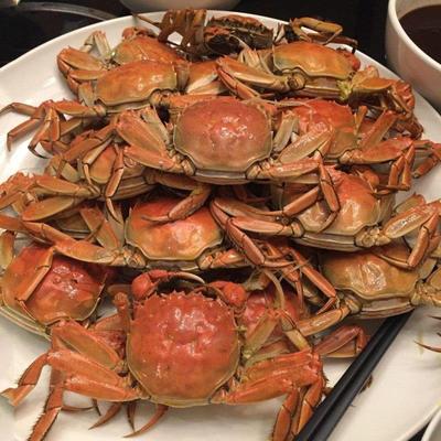 意大利 DAOGRS G7蒸烤箱真实使用8个月评价，写个新手的提醒