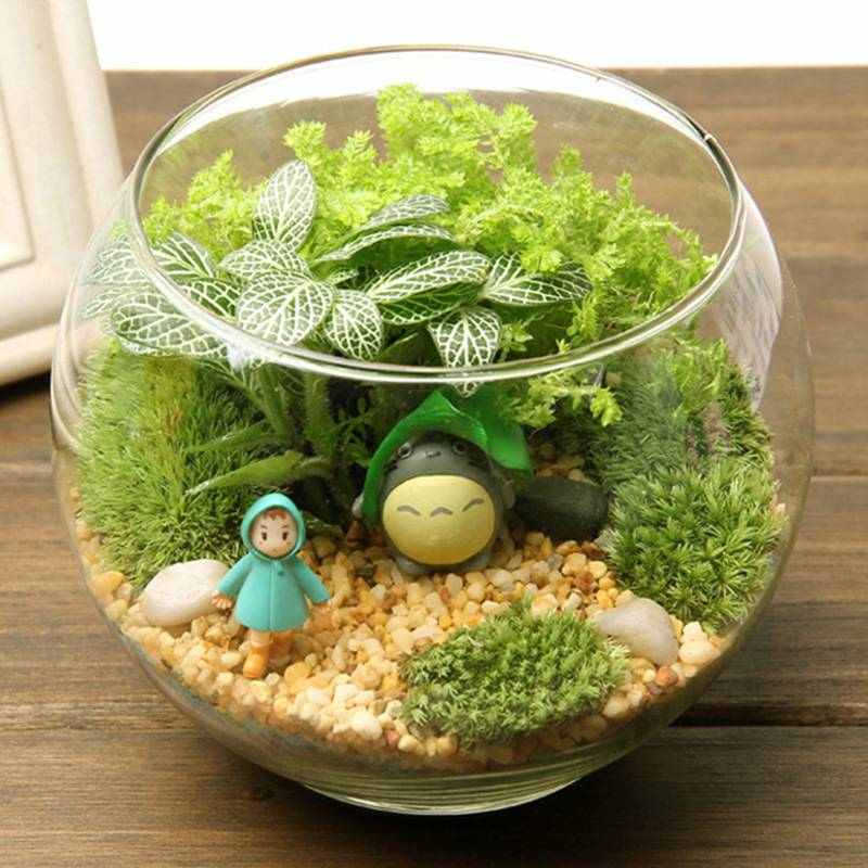 创意礼品摆件 苔藓 造景办公室瓶摆件微瓶15景观苔藓 玻璃 盖