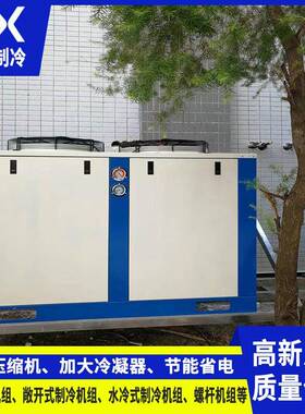12HP制冷机组 U型冷凝机组 冷库用制冷机组 找 【广东冰雪】