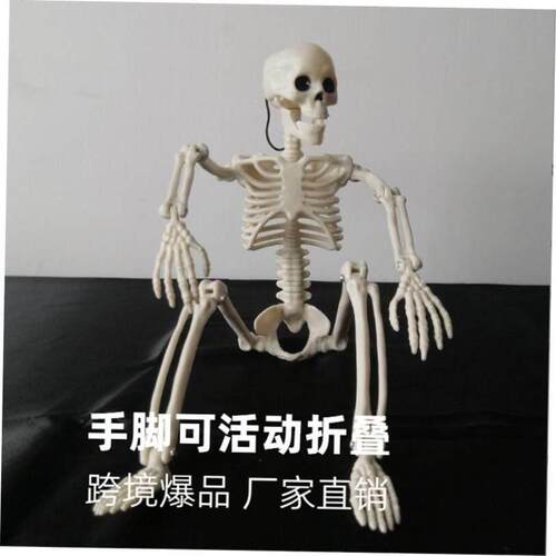 Halloween horror pumpkin human activity skull skeleton万圣节
