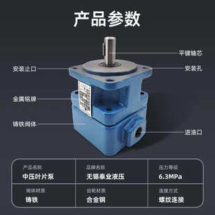 2.5 YB1 100 无锡泰业叶片泵
