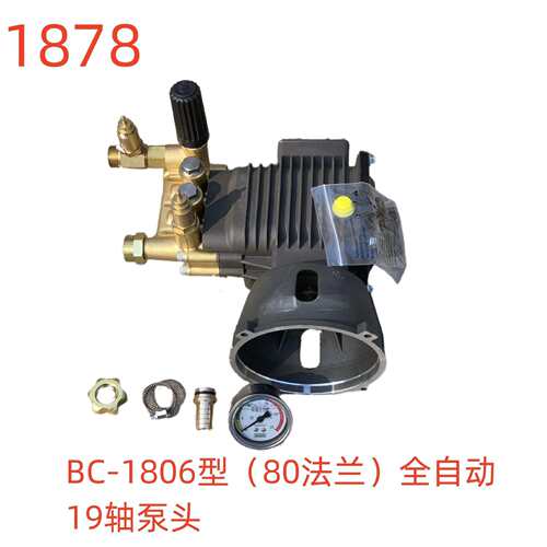 洗特BC-1806型（80法兰）全自动19轴泵头-1878号